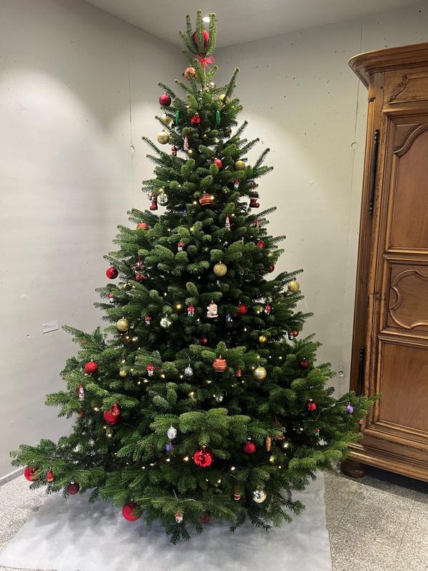 Weihnachtsessen 29.11.2024