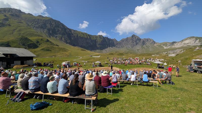 Frutt-Schwinget vom 15.08.2025