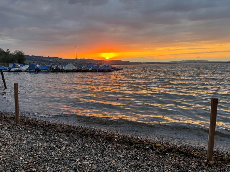 Sommerabend im Seeland Sempach